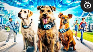 Хвостатые пришельцы — Русский трейлер (Фильм 2023) (720p)
