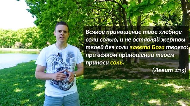Для чего нужна соль? Значение соли в древней Иудее