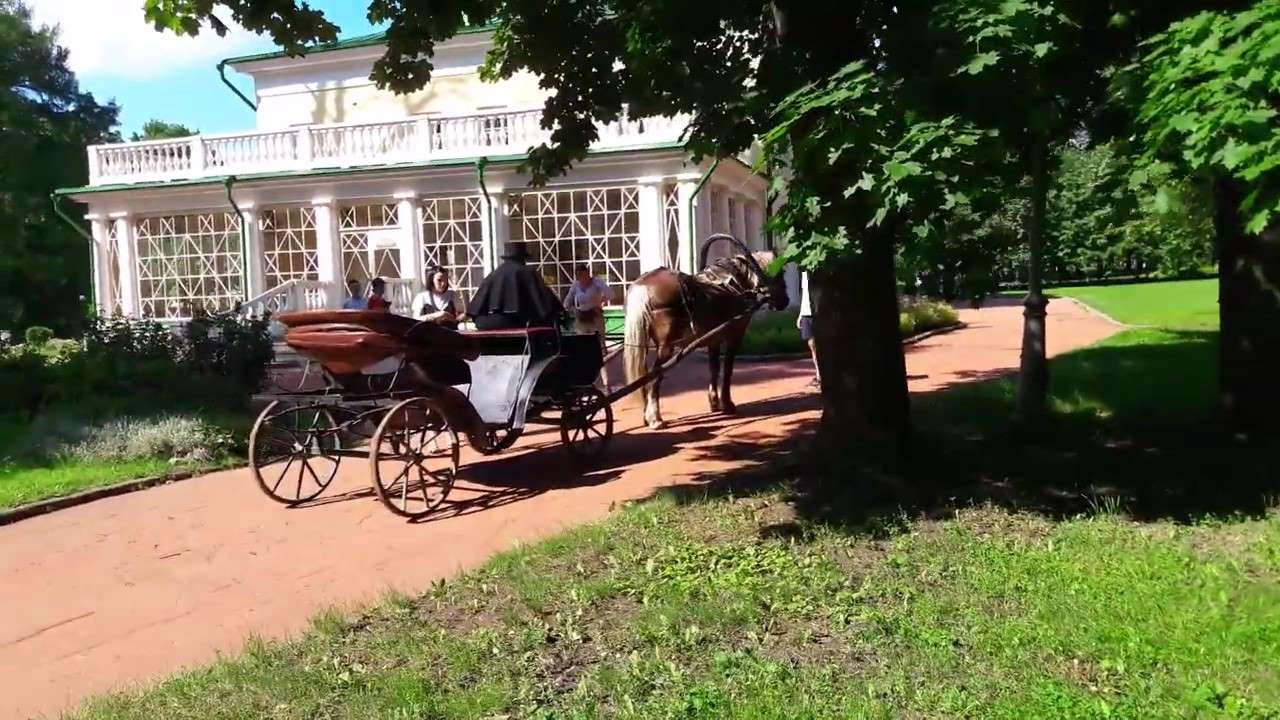 Экскурсия #Загадочный #дуб в Горках Ленинских
Дерево исполнение сокровенных желаний, загадай и плати
