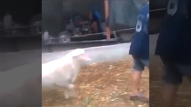 Не много юмора ??? #смешныемоменты #юмор #шутка #приколы #смех #отдых