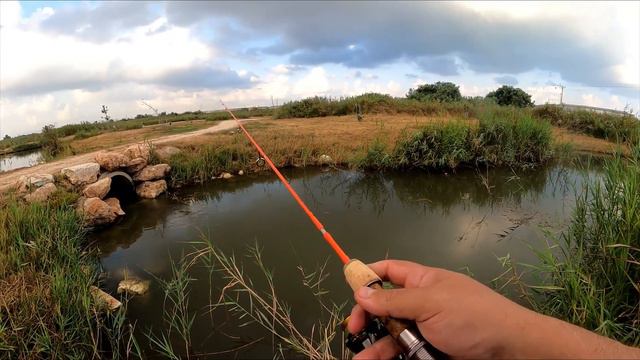 2-х часовая рыбалка на реке Нееман. דייג בנחל נעמן смотреть онлайн