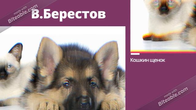 О братьях наших меньших