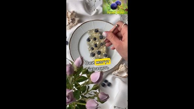 Съедобные цветы!!!Для приготовления простых блюд