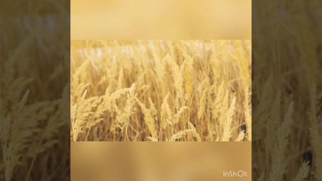 17-10-2023 смотреть онлайн