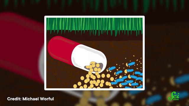 How Can E. coli Help Save Humanity? смотреть онлайн