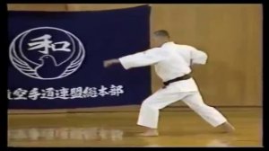 Kihon Wado Ryu