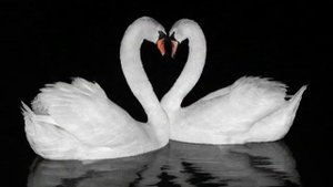 Лунный свет на террасе.Клод Дебюсси.