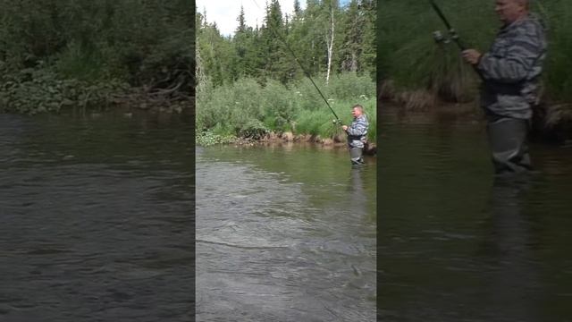 Река тайга рыбалка