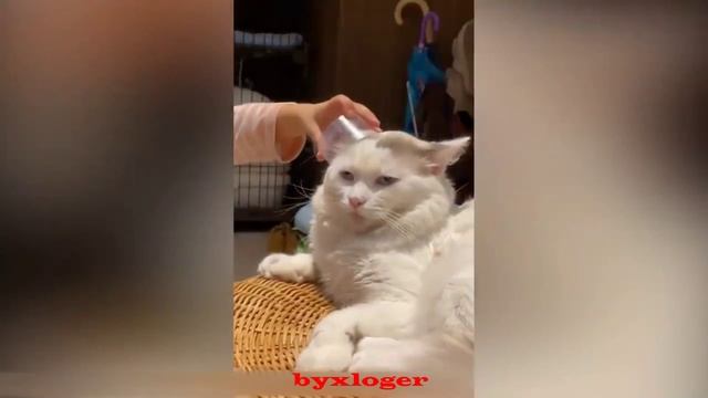 Пою Для Друзей . И их Реакция . Прикол..