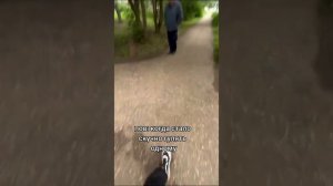 КОГДА СТАЛО СКУЧНО ГУЛЯТЬ ОДНОМУ!