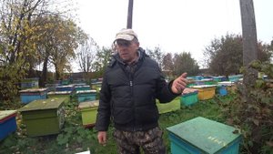 ОСНОВНЫЕ ПАСЕЧНЫЕ РАБОТЫ В ОКТЯБРЕ С ПЧЁЛАМИ, ФОРМИРОВАНИЕ ГНЁЗД, ЛЕЧЕНИЕ, ПОДСАДКА МАТОК.