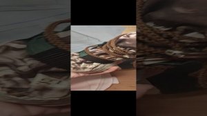 Как одеть обувь на собаку