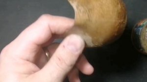 Замена жёстких задников в обуви