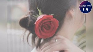 Чеченская Песня ОЧЕНЬ КРАСИВАЯ ПЕСНЯ💗Мичахь Лела Дега Езар💗2019