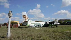 Олег Зубков разнимает дерущихся львов в  самолете ! Тайган .Крым.