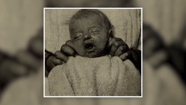 Оказалось, Что Ученые Проводят Такие Странные Эксперименты смотреть онлайн