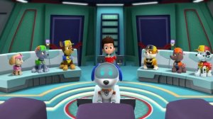 PAW Patrol - International Learn To Swim Day - Rescue Episode! - PAW Patrol Official & Friends