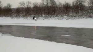 Тайга варяг 550 по воде