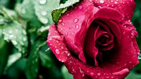 С_ДНЕМ_РОЖДЕНИЯ_МУЗЫКАЛЬНАЯ_ОТКРЫТКА_ПОЗДРАВЛЕНИЕ.mp4