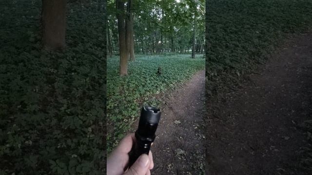 Команда "Ко мне". Нестандартные способы подзыва. смотреть онлайн