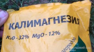 Малина не растет без этого! Даю это малине осенью! На след. год будет много крупной ягоды!