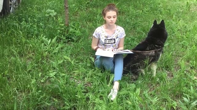 "Как собака друга искала" смотреть онлайн