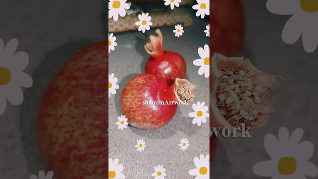 Some creative photography ideas of some of the cutest and smallest pomegranates by shamimArtwork