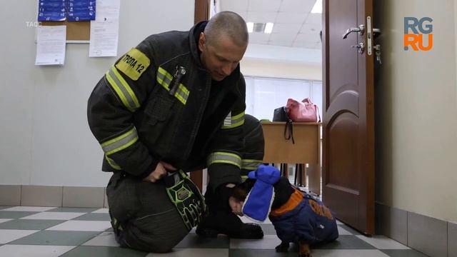 Такса Маруся со спасателями авиацентра смотреть онлайн