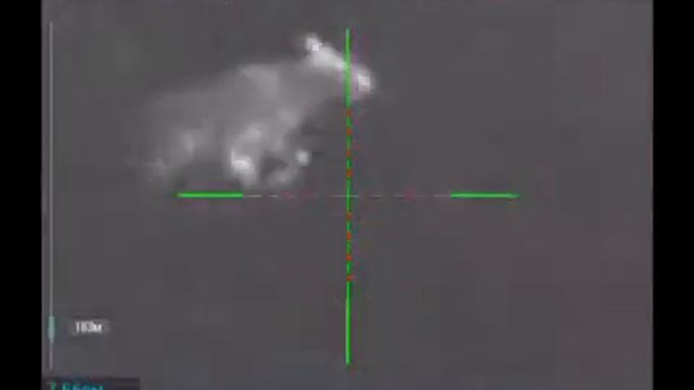 Ночью на лося смотреть онлайн