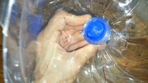 Разведение артемии в домашних условиях