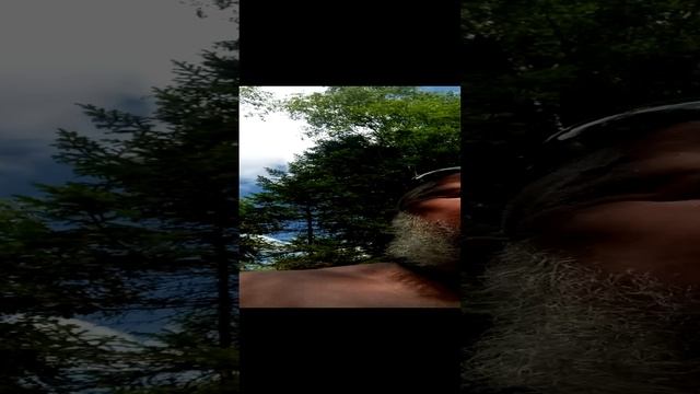 Речка Белокуриха