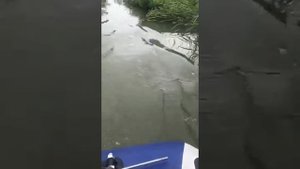 Лодочный мотор с приводом от шуруповерта.