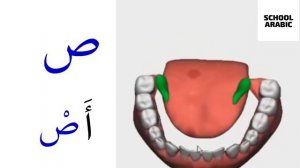 Произношение/Место образование арабских букв (махрадж)