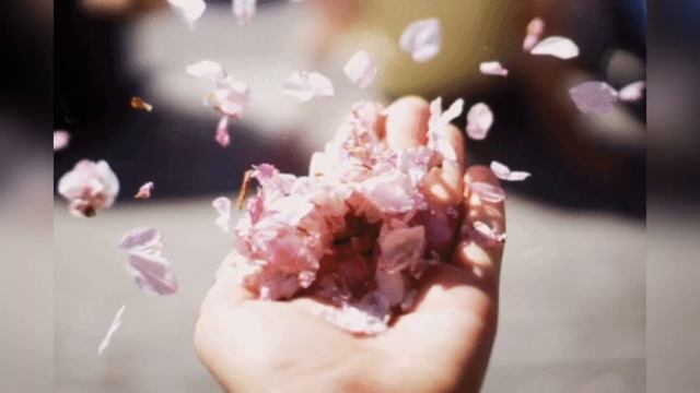 Спасибо Вам, друзья. Автор текста Елена Промская. Стихи о жизни. смотреть онлайн