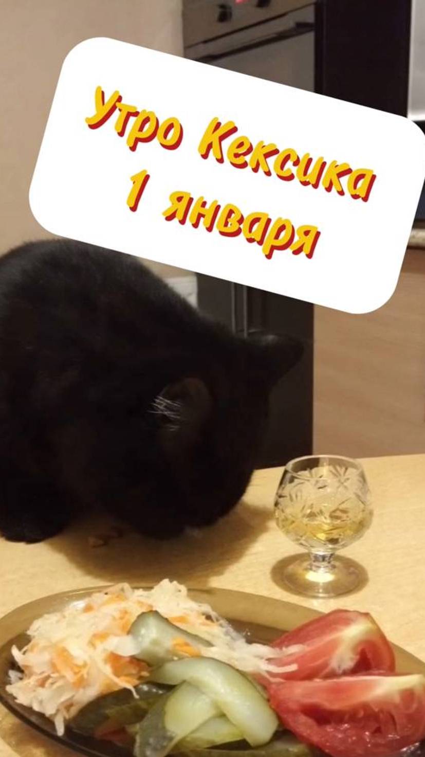 Когда отметил лучше, чем хозяева