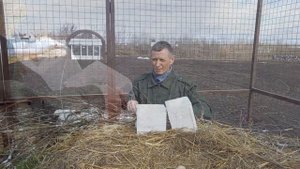 Рязанский дом белого аиста. От яйца до птенца