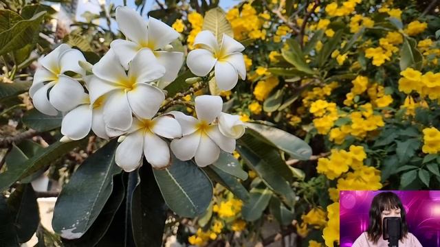 Внучка уборщицы пришла за неожиданным наследством в банк. Но когда её бывший жених об этом узнал...