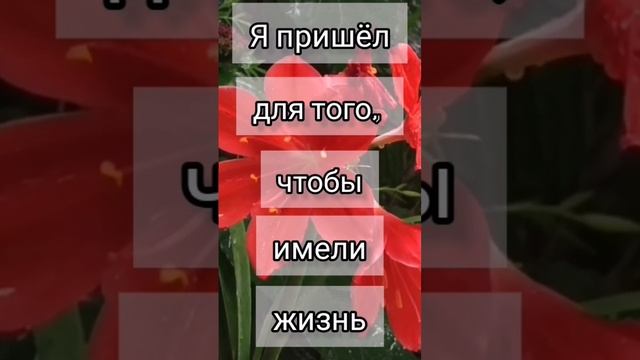 Вор пришёл, чтобы украсть, ИИСУС ПРИШЁЛ ЖИЗНЬ ДАТЬ... #стихи# #Библия