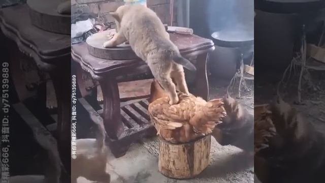 Командная работа.
