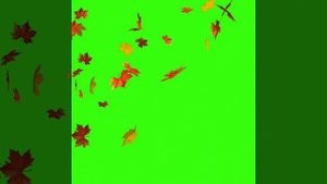 Fall autumn leaves falling green screen.