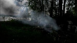 Звуки ночного леса.Это ужасно и прекрасно! ЧАСТЬ -2
