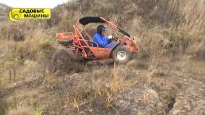 Гоу-карт HAMMERHEAD SS 250:  СПОСОБНЫЙ "МАЛЫЙ"