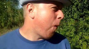 Жрем лук Как скушать целый лук