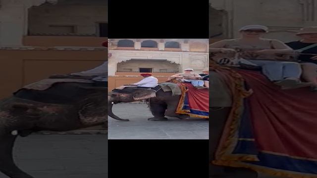 VID-20230301-WA0030.mp4