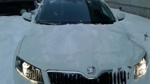 Skoda Сугроб и прогрев TSI. XDS – система электронной блокировки межколесного дифференциала (2020)