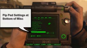 Amazing Follower Tweaks FO4 PipPad Compatibility