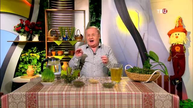 126 Майская крапива – жальтесь на здоровье! смотреть онлайн