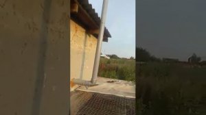 Вытяжка в погребе из канализационных труб