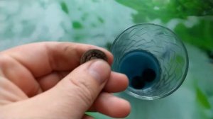 Чистка серебряных монет нашатырем