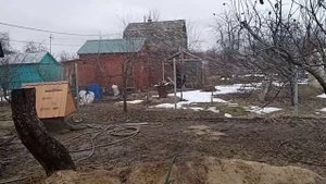Спринклер дождеватель ороситель разбрызгиватель для полива грядок, полей, ягодных, питомника купить
